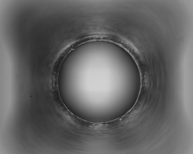X0000115501352200911131313
