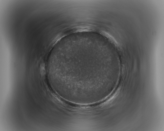 X0000115501353200911131313