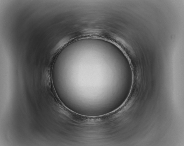 X0000115501354200911131313