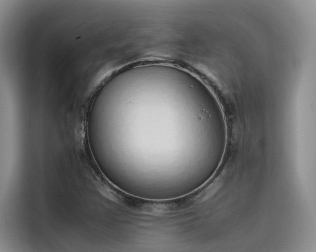 X0000115501355200911131313
