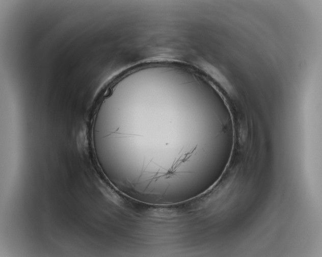 X0000115501356200911131313