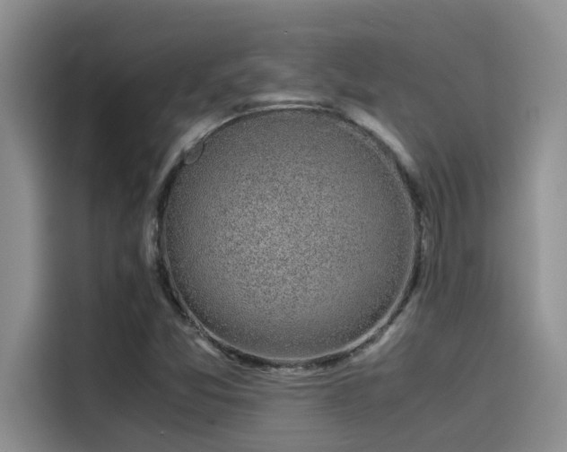 X0000115501357200911131312