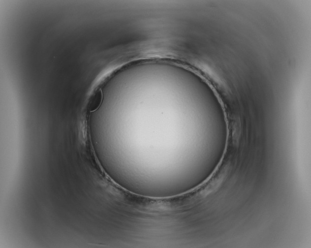 X0000115501358200911131312