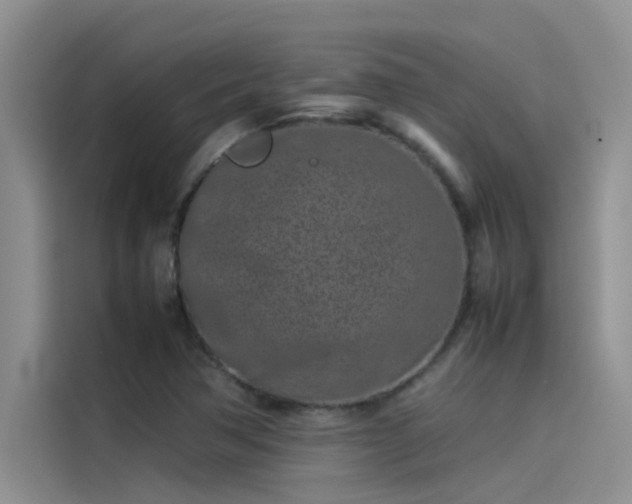 X0000115501362200911131312