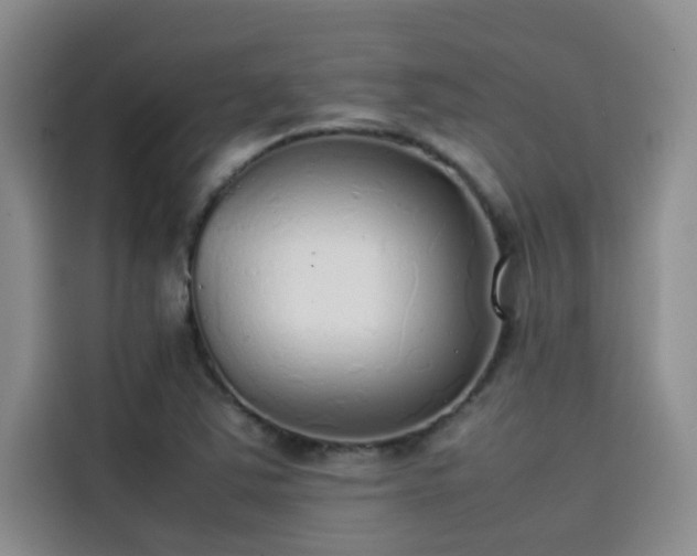 X0000115501363200911131312