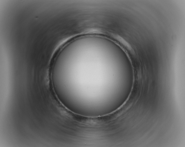 X0000115501364200911131312