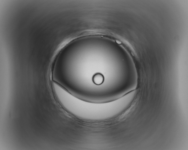 X0000115501365200911131312