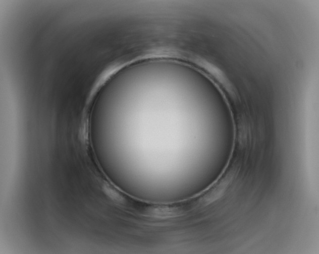X0000115501366200911131312