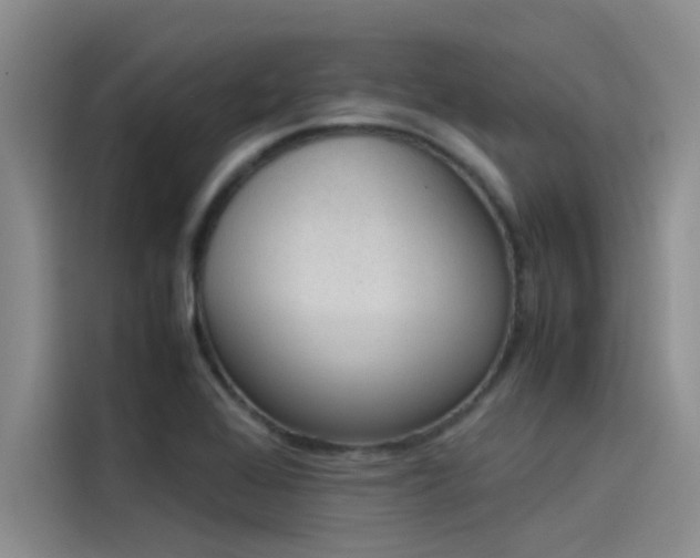 X0000115501368200911131312