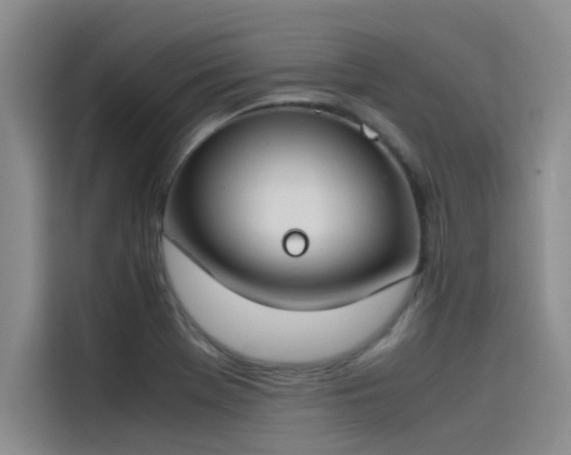 X0000115501369200911131312