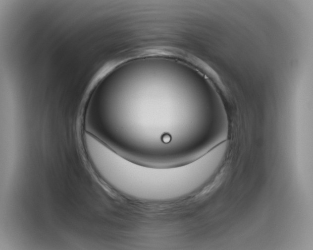 X0000115501373200911131312