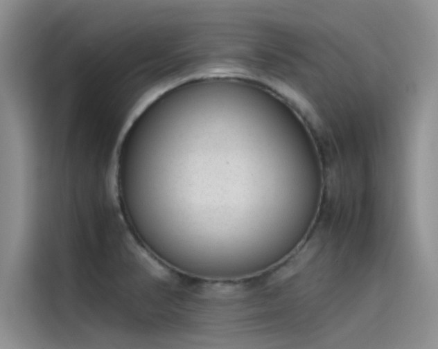 X0000115501374200911131312