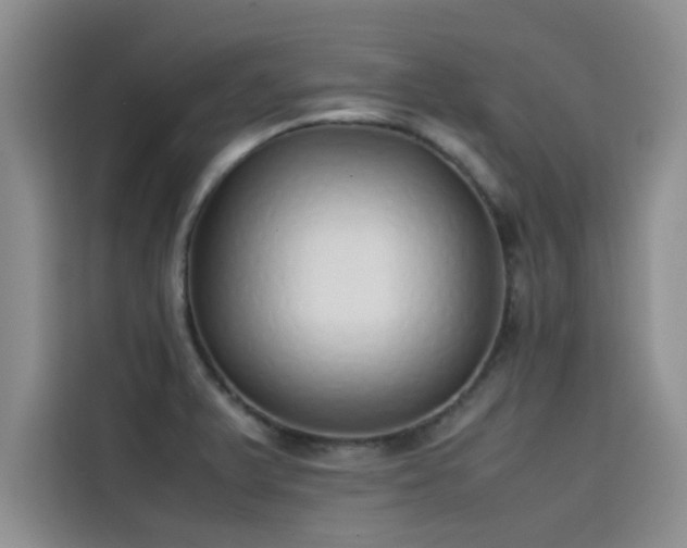 X0000115501375200911131312