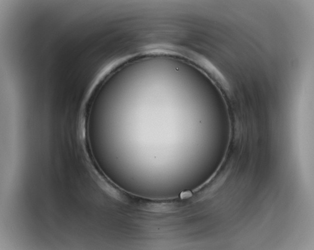 X0000115501376200911131312
