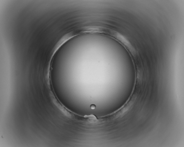 X0000115501378200911131312