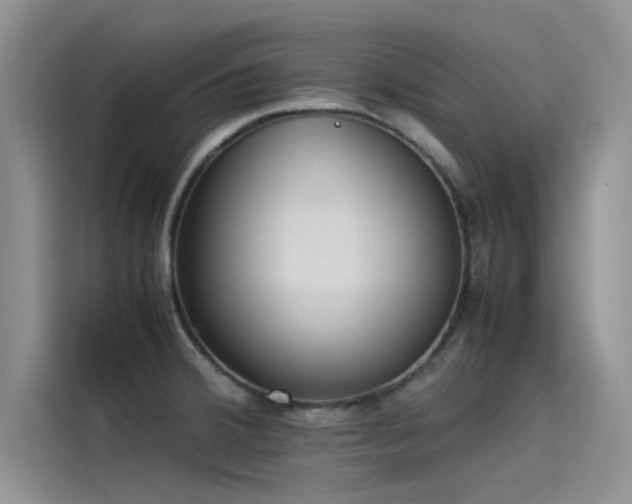 X0000115501380200911131312