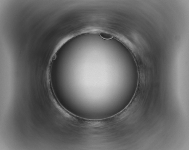 X0000115501382200911131312
