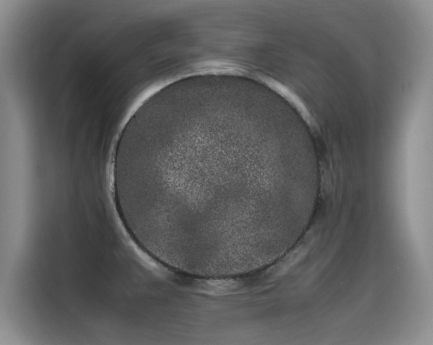 X0000115501383200911131312
