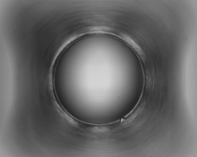 X0000115501384200911131312