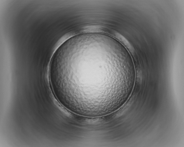 X0000115501386200911131312