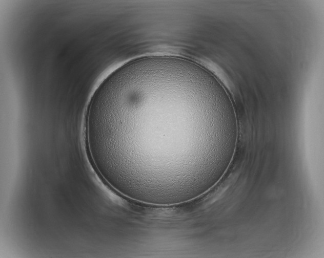 X0000115501387200911131312