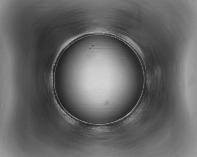 X0000115501388200911131312
