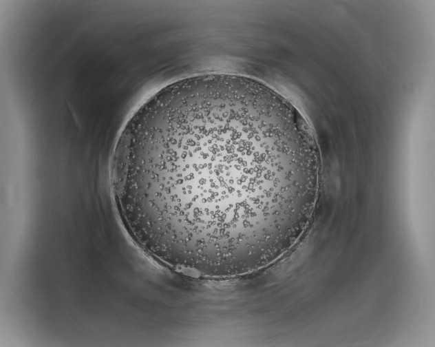 X0000115501389200911131312