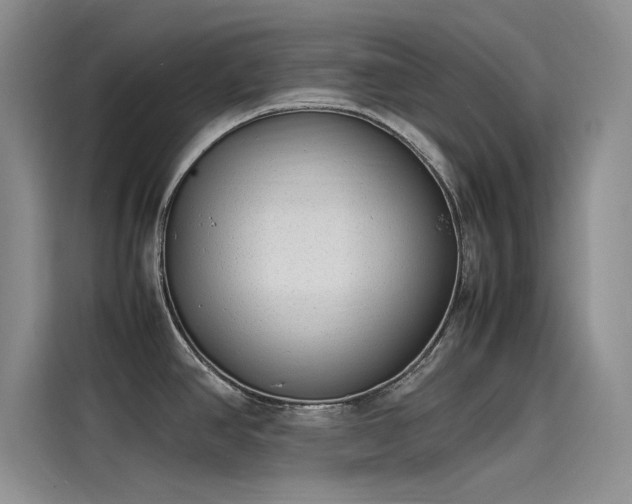 X0000115501390200911131312