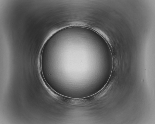 X0000115501391200911131312
