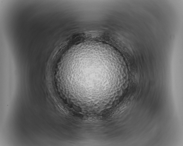 X0000115501393200911131311
