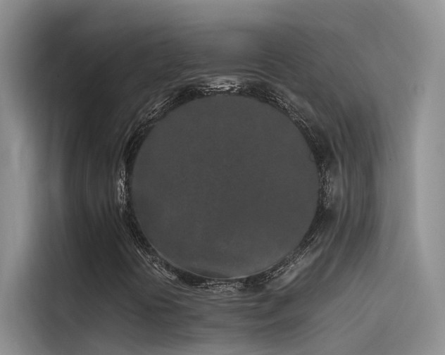 X0000115501394200911131311