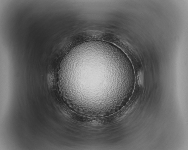 X0000115501395200911131311