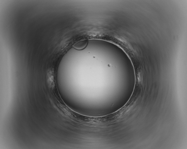 X0000115501396200911131311