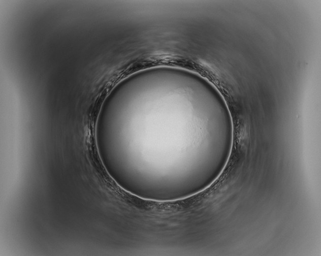 X0000115501397200911131311