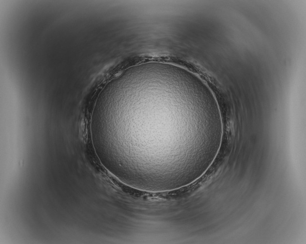 X0000115501398200911131311