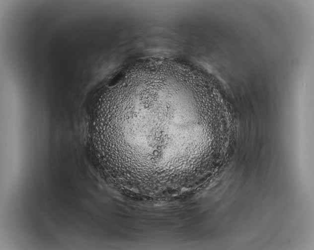 X0000115501399200911131311