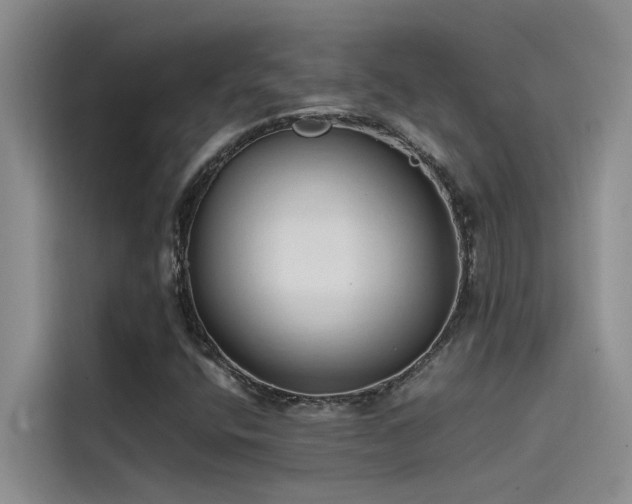 X0000115501400200911131312