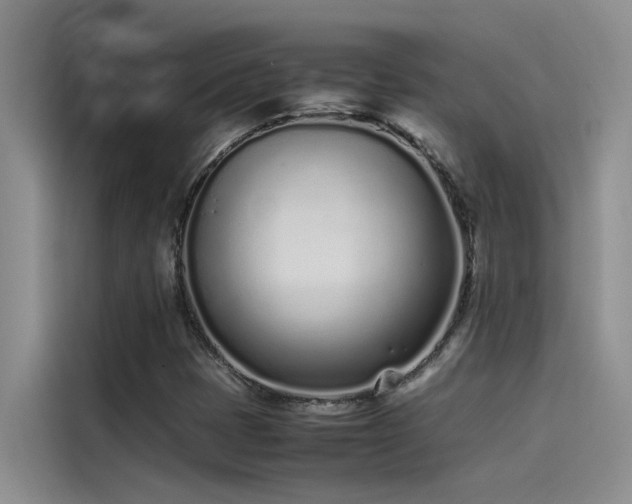 X0000115501401200911131312