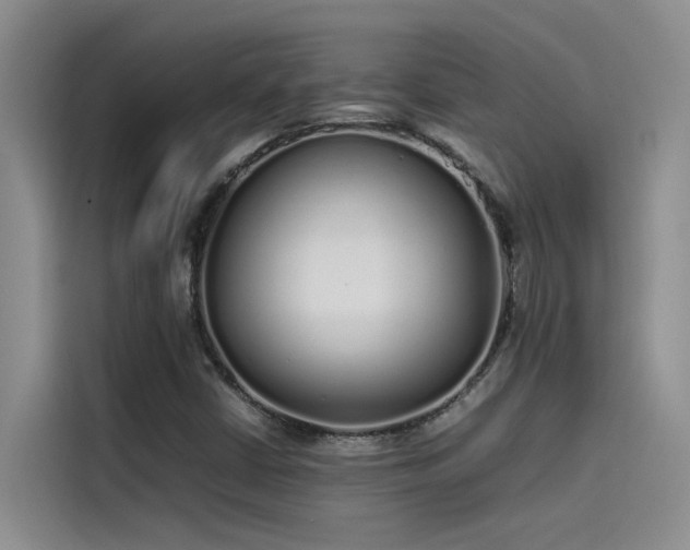 X0000115501402200911131312