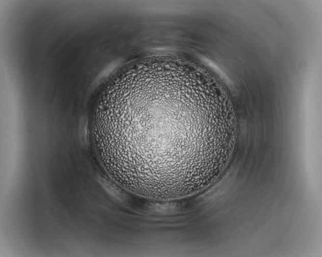 X0000115501403200911131312