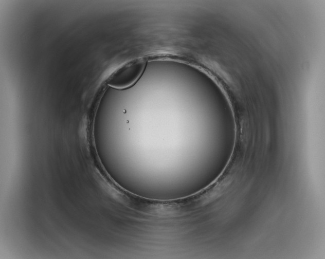 X0000115501404200911131312