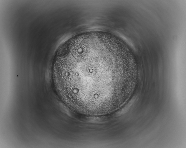 X0000115501405200911131312