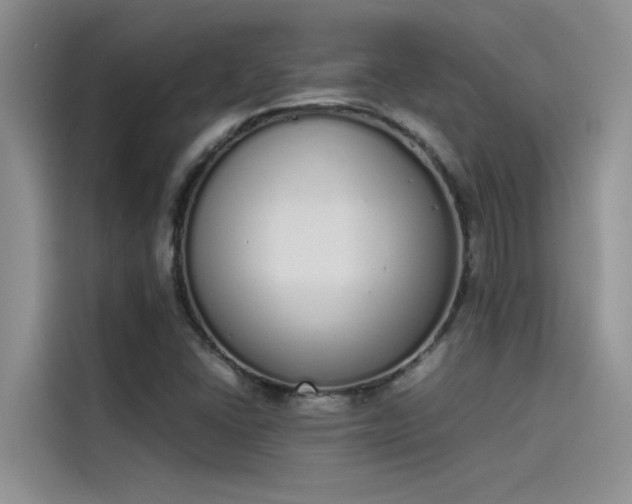 X0000115501406200911131312