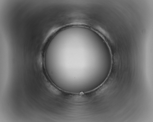 X0000115501408200911131312