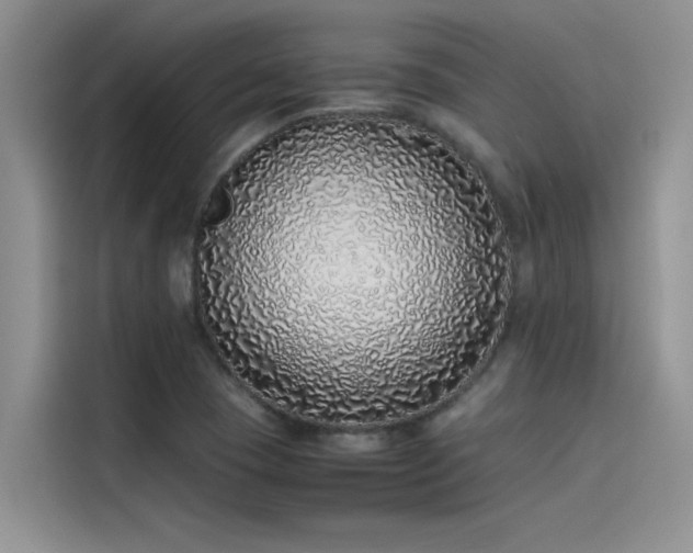 X0000115501409200911131312
