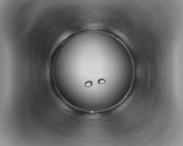 X0000115501410200911131312