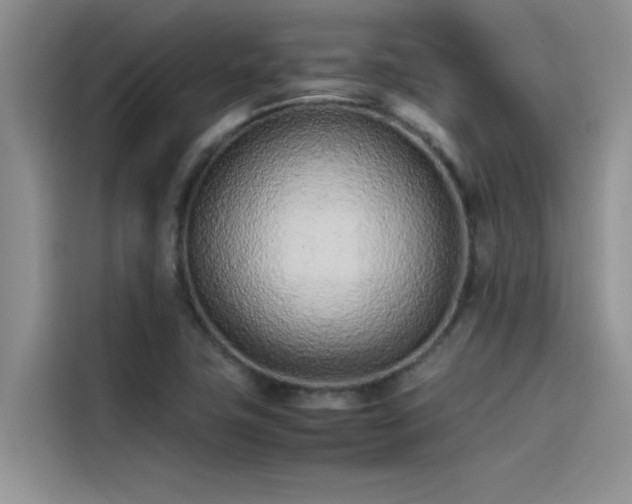 X0000115501411200911131312