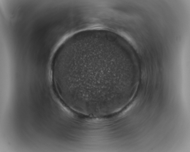 X0000115501414200911131312