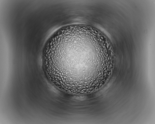 X0000115501415200911131312