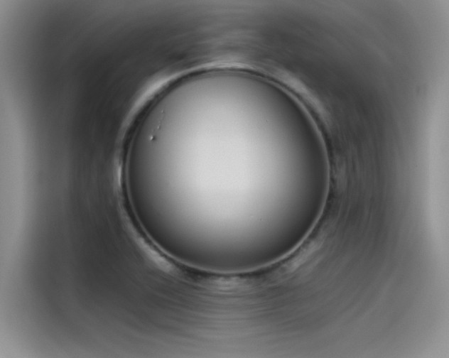 X0000115501416200911131312
